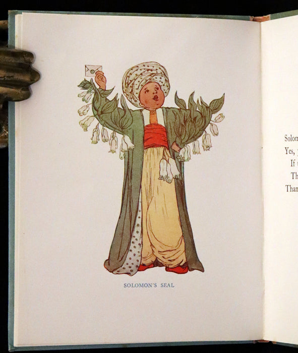 1927 Rare First Edition - The Sunflower Book, A Flower Book illustrated by Eleanor S. March.