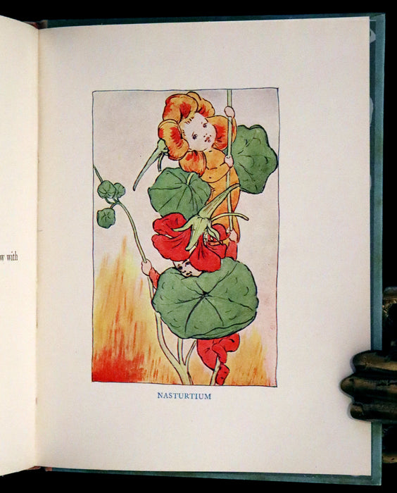 1927 Rare First Edition - The Sunflower Book, A Flower Book illustrated by Eleanor S. March.