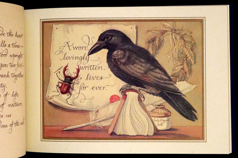 1999 First Edition - Animal Wisdom written and illustrated by Charles van Sandwyk. With original bookmark.