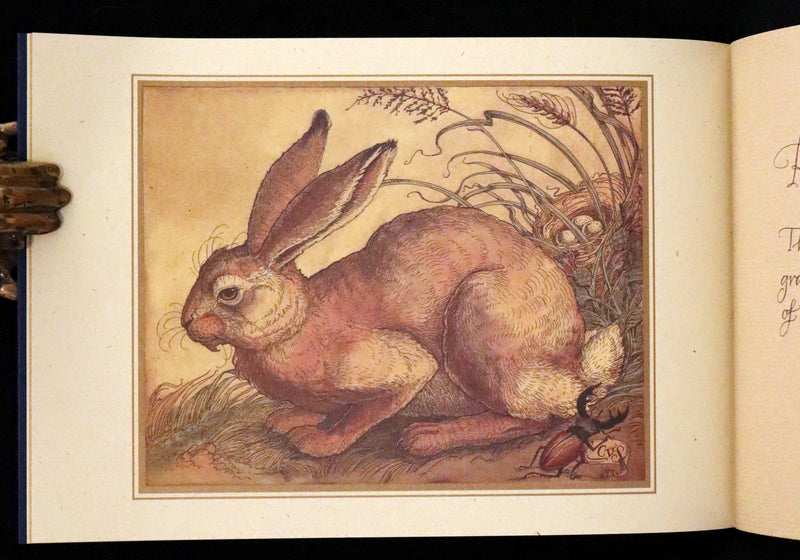 1999 First Edition - Animal Wisdom written and illustrated by Charles van Sandwyk. With original bookmark.