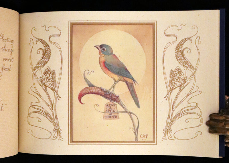 1999 First Edition - Animal Wisdom written and illustrated by Charles van Sandwyk. With original bookmark.