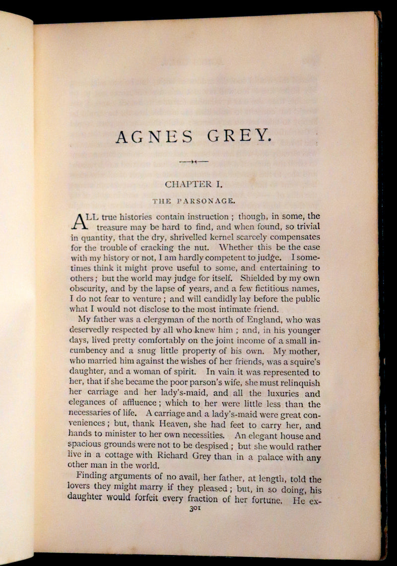 1889 Rare Victorian Book - Wuthering Heights by Emily Brontë and Agnes Grey by Anne Brontë.