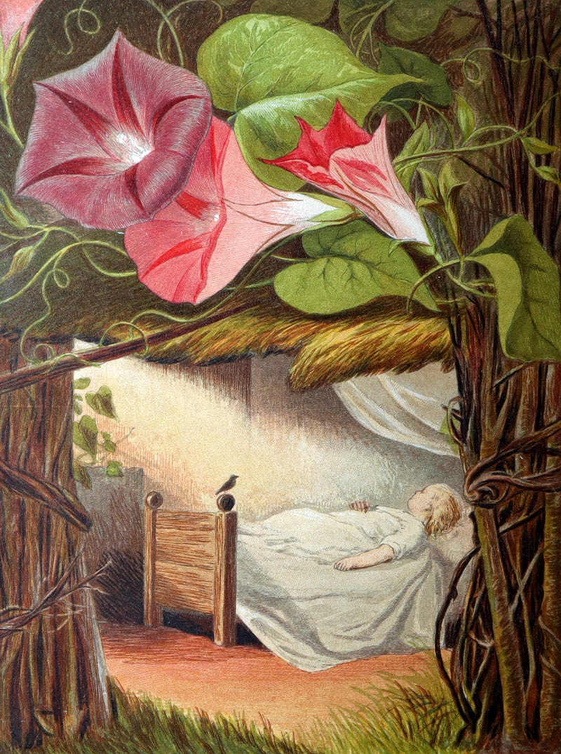 1868 First Edition - The Story Without an End by Sarah Austin, Illustrated