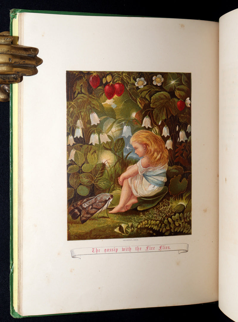 1868 First Edition - The Story Without an End by Sarah Austin, Illustrated