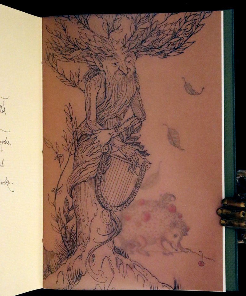 2015 Scarce Limited Deluxe First Edition - Tree Whispers by Charles van Sandwyk. #56 of 120 copies.