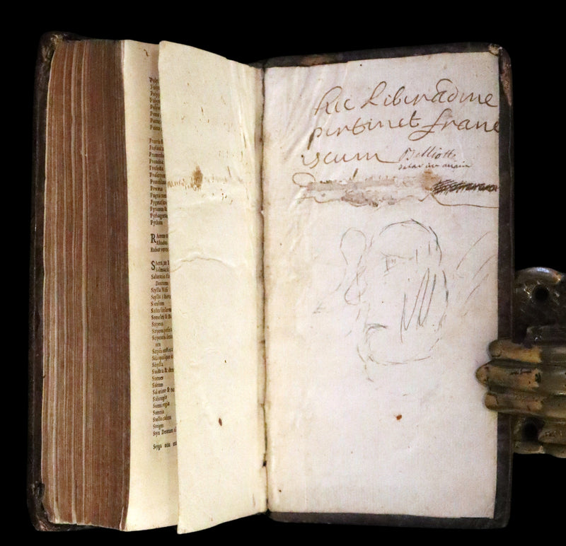 1668 Rare Latin Book - OVID's Metamorphoses - Metamorphoseon libri XV cum notis Farnabii.