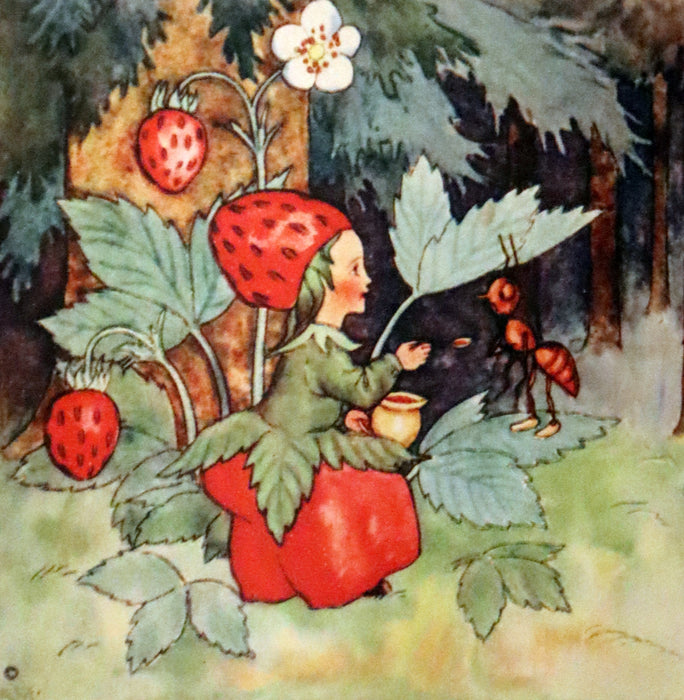 1943 Rare First US Edition - The Good and Bad Berries illustrated by Ida Bohatta Morpurgo.