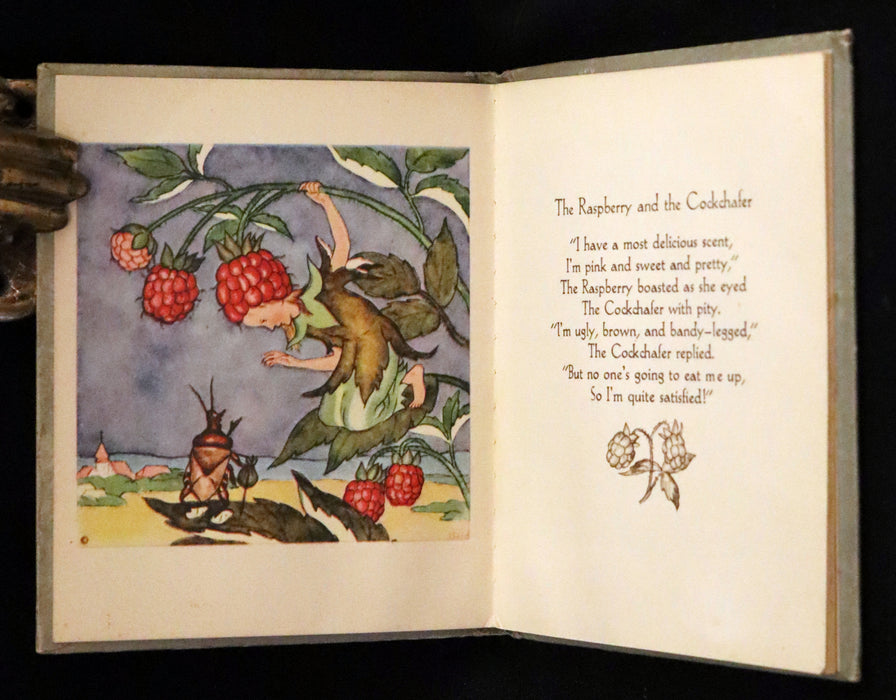 1943 Rare First US Edition - The Good and Bad Berries illustrated by Ida Bohatta Morpurgo.