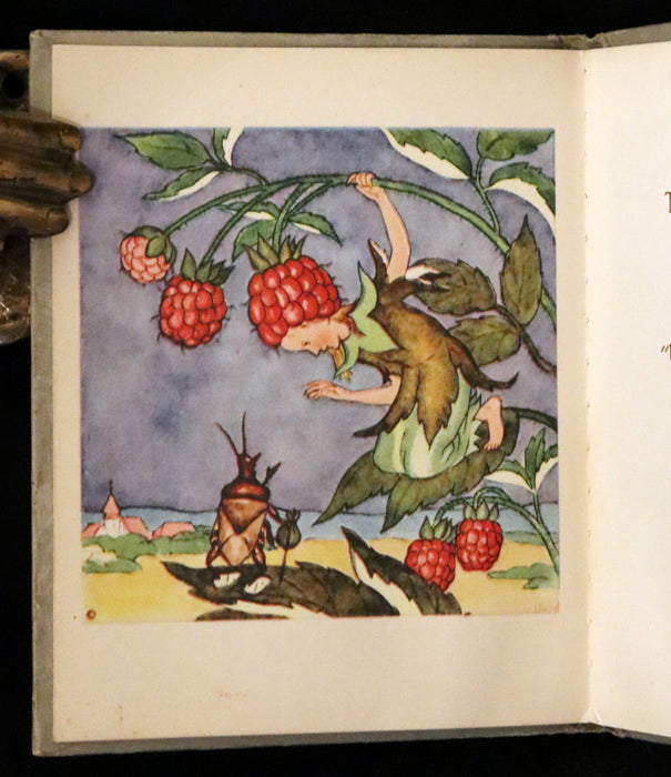 1943 Rare First US Edition - The Good and Bad Berries illustrated by Ida Bohatta Morpurgo.