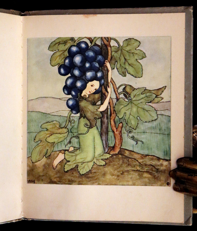 1943 Rare First US Edition - The Good and Bad Berries illustrated by Ida Bohatta Morpurgo.