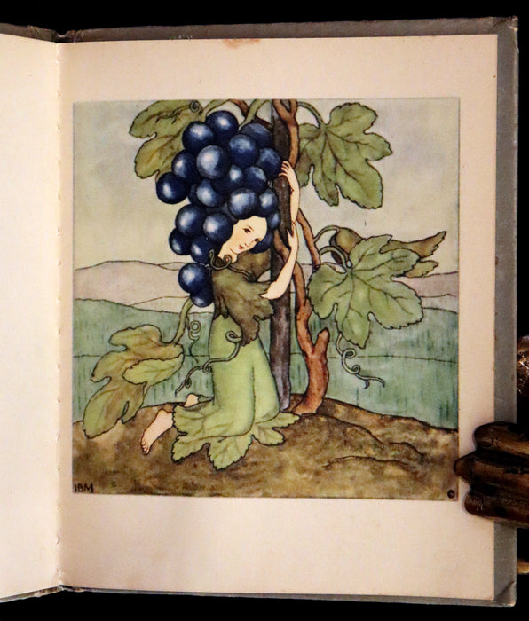 1943 Rare First US Edition - The Good and Bad Berries illustrated by Ida Bohatta Morpurgo.