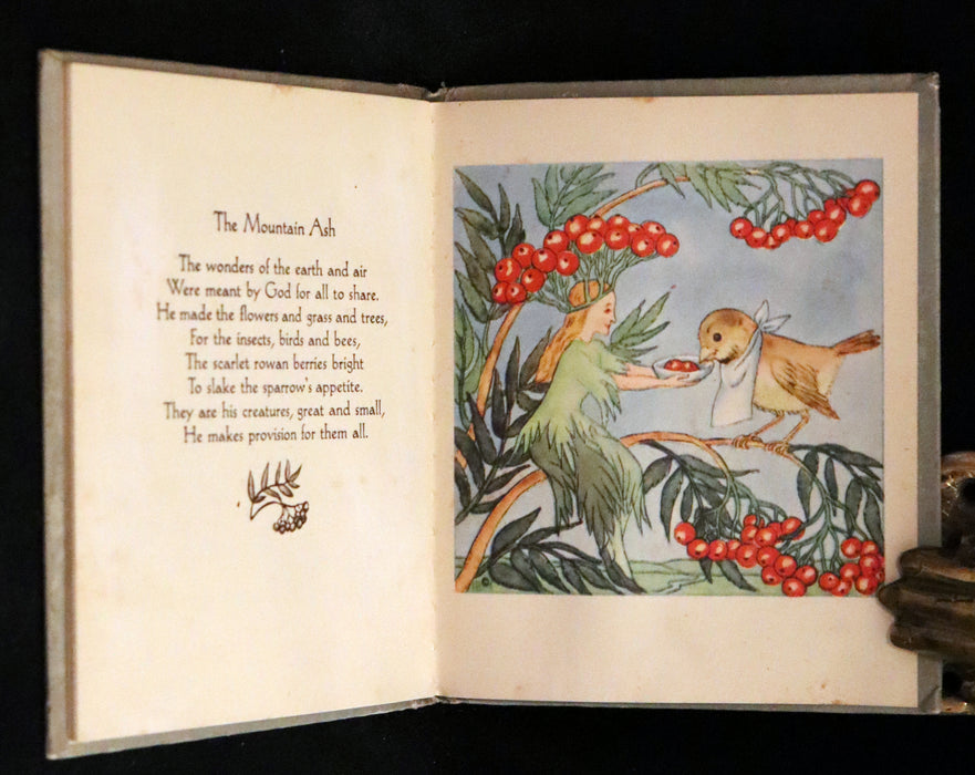 1943 Rare First US Edition - The Good and Bad Berries illustrated by Ida Bohatta Morpurgo.