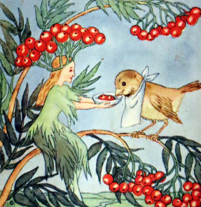 1943 Rare First US Edition - The Good and Bad Berries illustrated by Ida Bohatta Morpurgo.