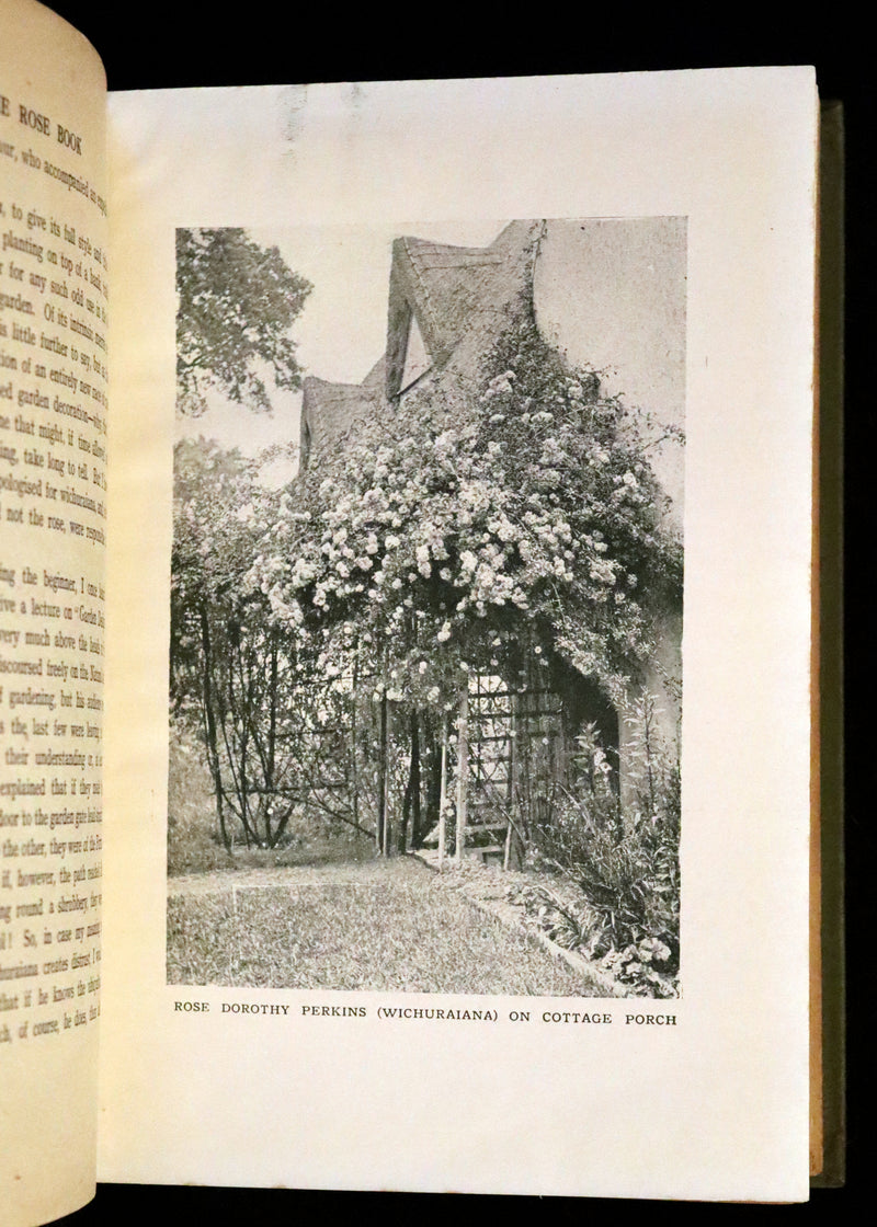 1920 Rare Book - THE ROSE BOOK, A Complete Guide for Amateur Rose Growers by H.H. Thomas.