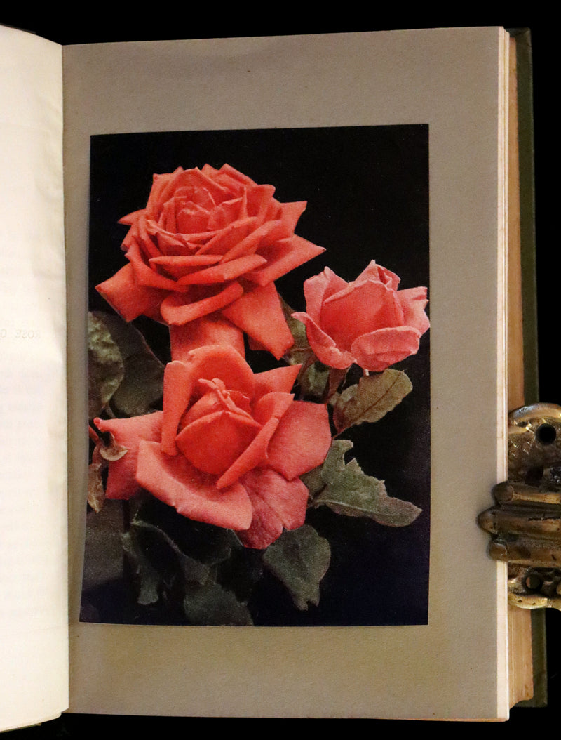 1920 Rare Book - THE ROSE BOOK, A Complete Guide for Amateur Rose Growers by H.H. Thomas.