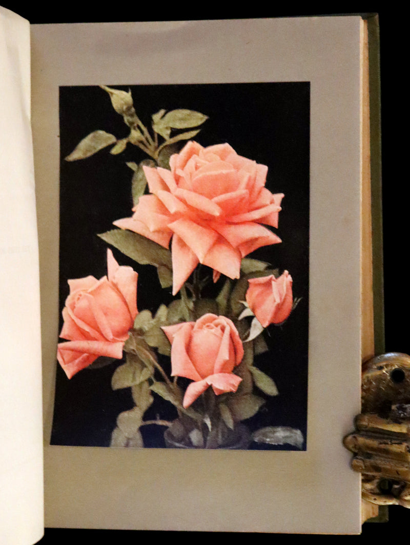 1920 Rare Book - THE ROSE BOOK, A Complete Guide for Amateur Rose Growers by H.H. Thomas.