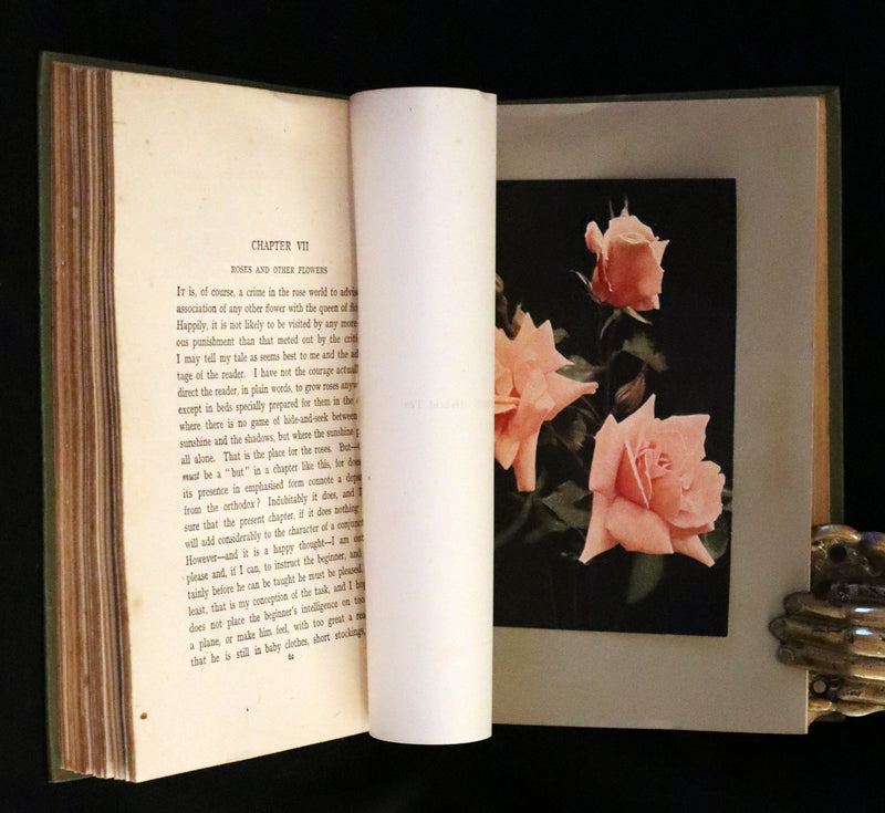 1920 Rare Book - THE ROSE BOOK, A Complete Guide for Amateur Rose Growers by H.H. Thomas.