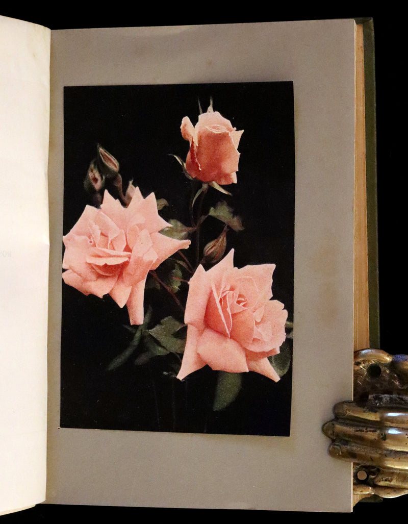 1920 Rare Book - THE ROSE BOOK, A Complete Guide for Amateur Rose Growers by H.H. Thomas.