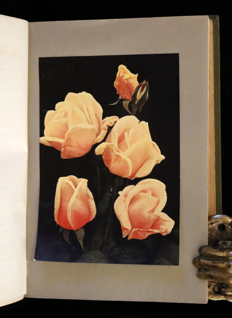 1920 Rare Book - THE ROSE BOOK, A Complete Guide for Amateur Rose Growers by H.H. Thomas.