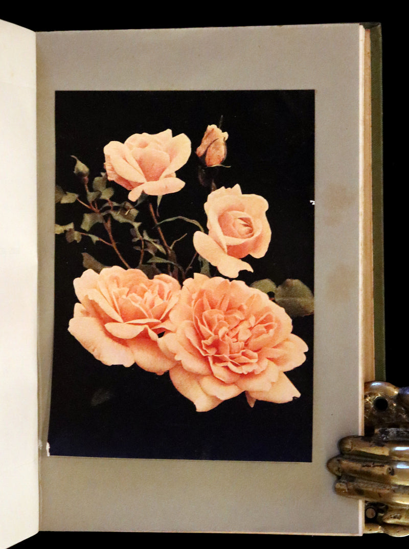 1920 Rare Book - THE ROSE BOOK, A Complete Guide for Amateur Rose Growers by H.H. Thomas.