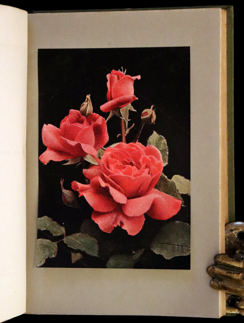 1920 Rare Book - THE ROSE BOOK, A Complete Guide for Amateur Rose Growers by H.H. Thomas.