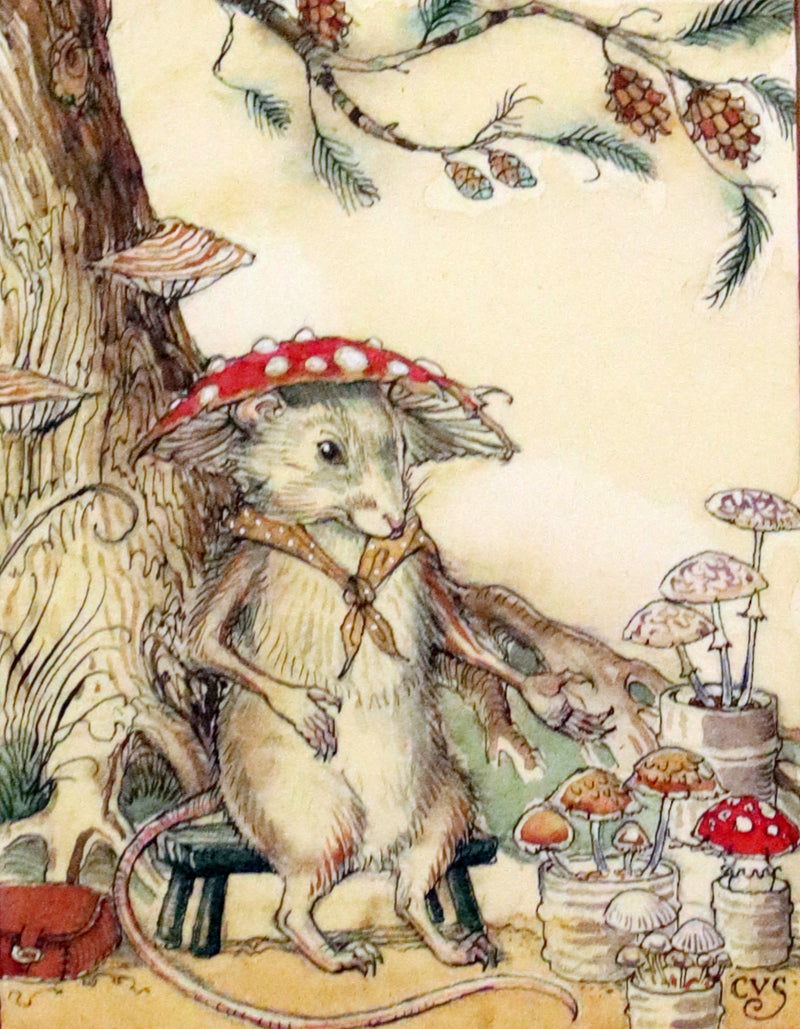 2009 Scarce Signed First Edition - The Fairy Market by Charles van Sandwyk dedicated to Arthur Rackham.