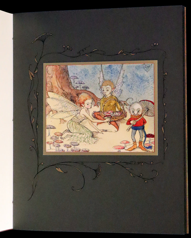2009 Scarce Signed First Edition - The Fairy Market by Charles van Sandwyk dedicated to Arthur Rackham.