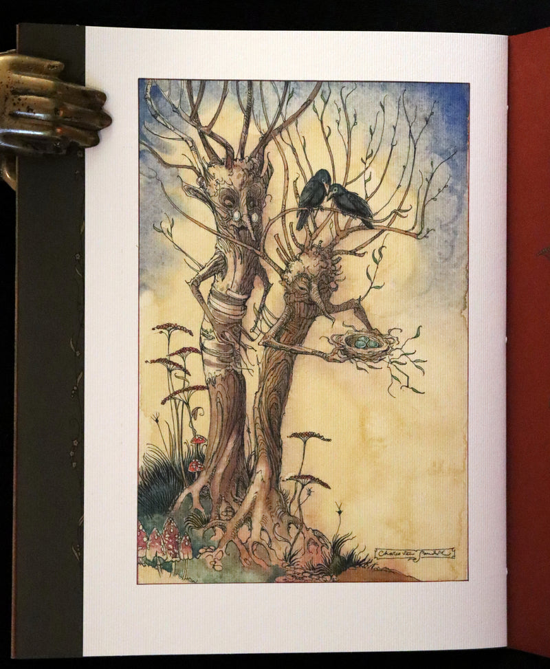 2009 Scarce Signed First Edition - The Fairy Market by Charles van Sandwyk dedicated to Arthur Rackham.
