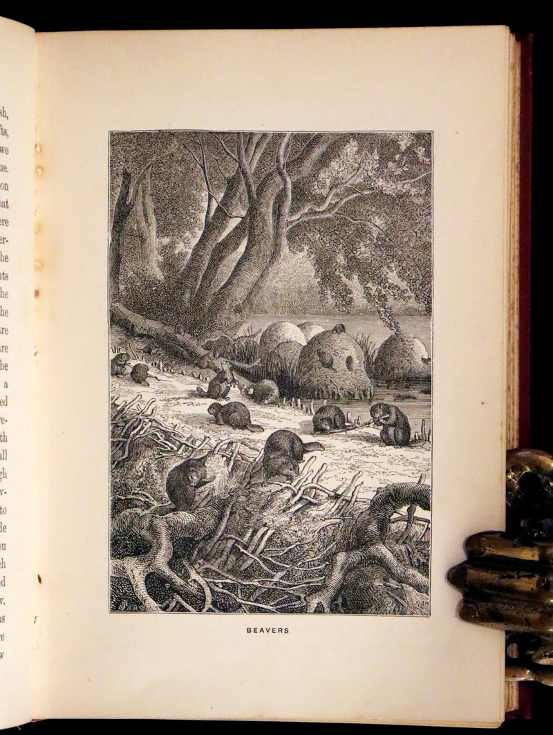 1886 Scarce edition - Hudson Bay; or, Everyday Life in the Wilds of North America by Robert Michael Ballantyne.