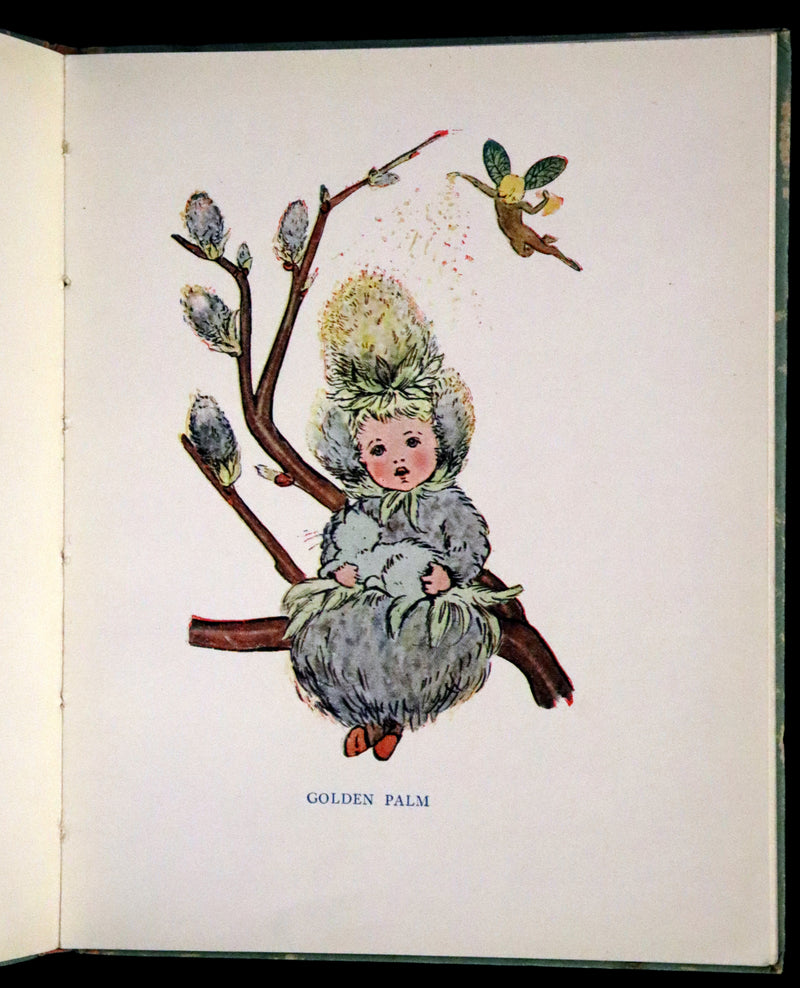 1927 Rare First Edition - Springtime, A Flower Book illustrated by Eleanor S. March.