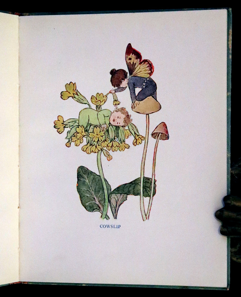 1927 Rare First Edition - Springtime, A Flower Book illustrated by Eleanor S. March.