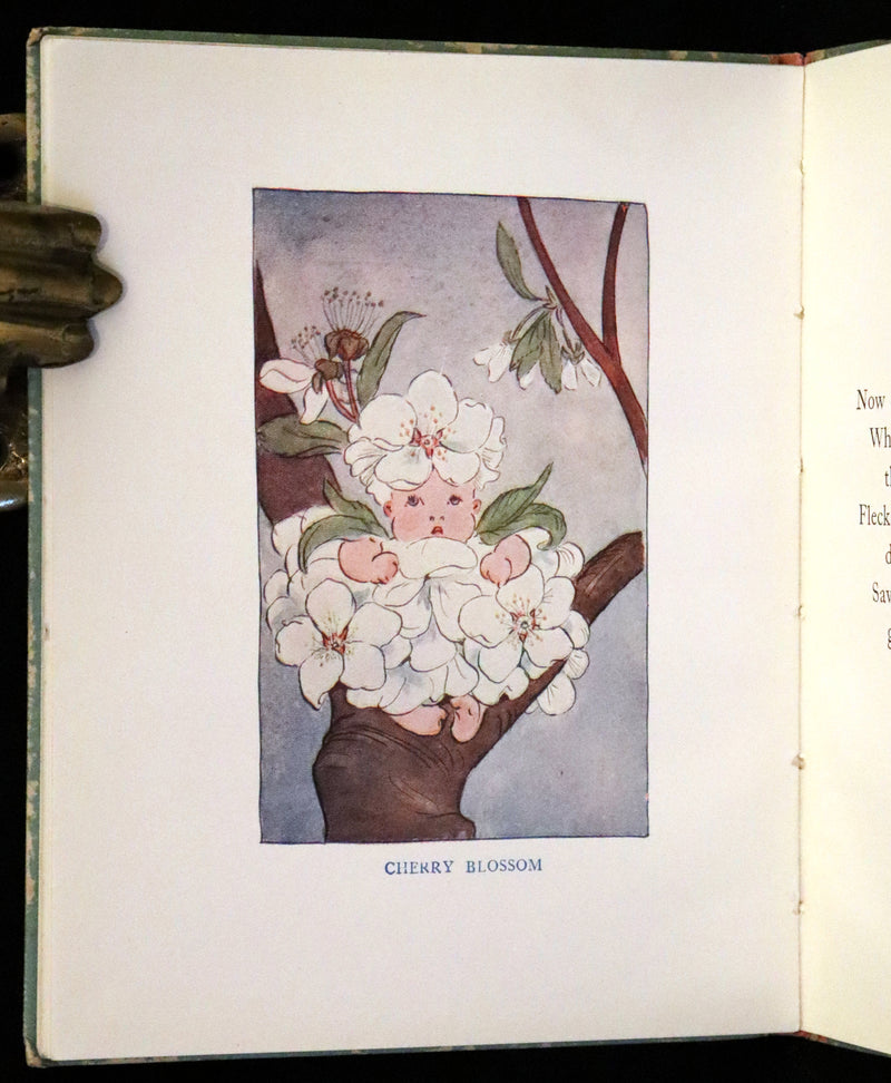 1927 Rare First Edition - Springtime, A Flower Book illustrated by Eleanor S. March.