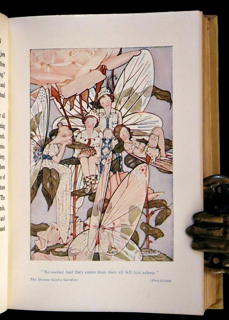 1923 Rare  First Edition - The Dream Girl's Garden by Edith Howes illustrated by D. Osborn.