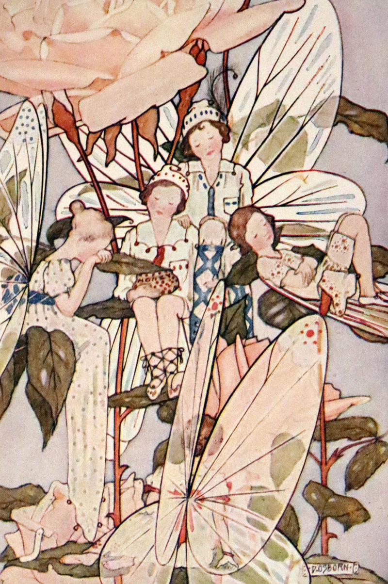 1923 Rare  First Edition - The Dream Girl's Garden by Edith Howes illustrated by D. Osborn.