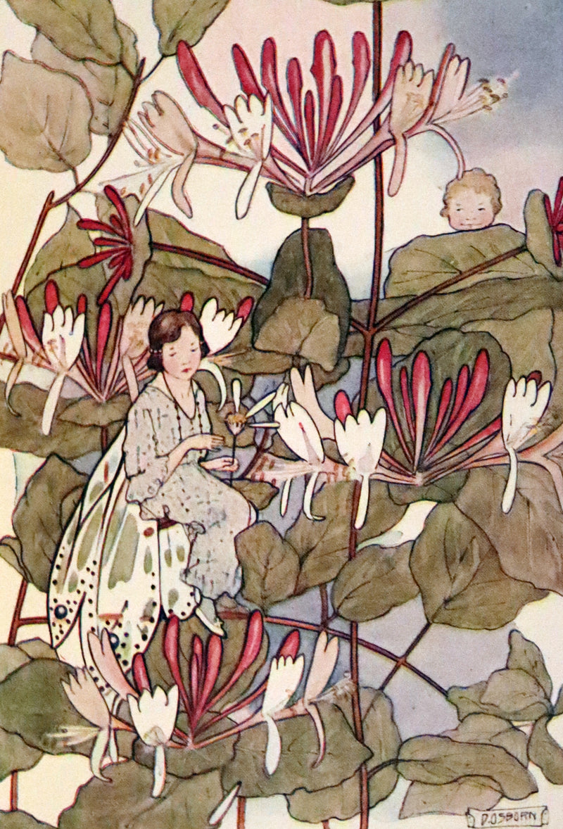 1923 Rare  First Edition - The Dream Girl's Garden by Edith Howes illustrated by D. Osborn.