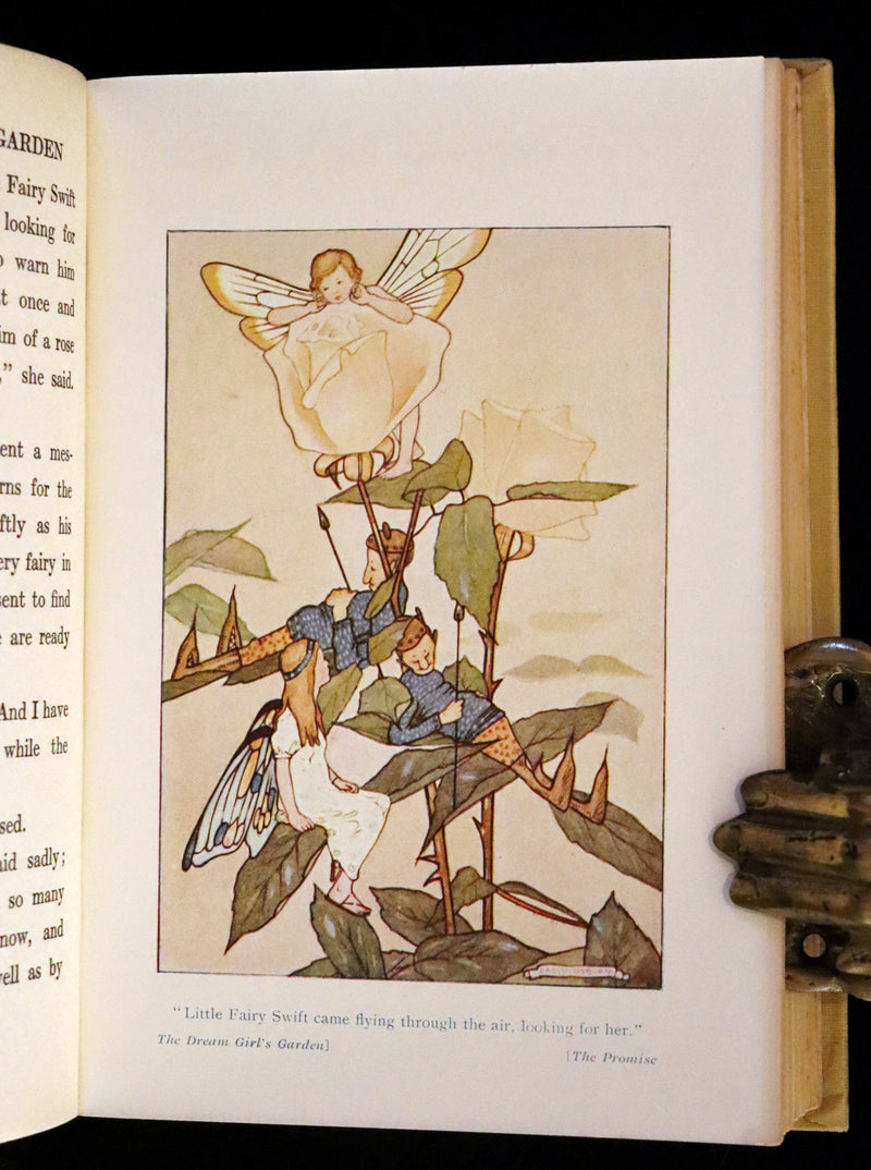 1923 Rare  First Edition - The Dream Girl's Garden by Edith Howes illustrated by D. Osborn.