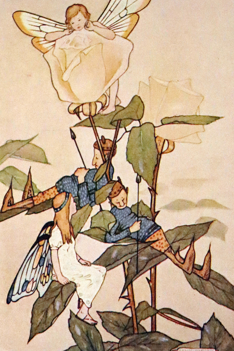 1923 Rare  First Edition - The Dream Girl's Garden by Edith Howes illustrated by D. Osborn.