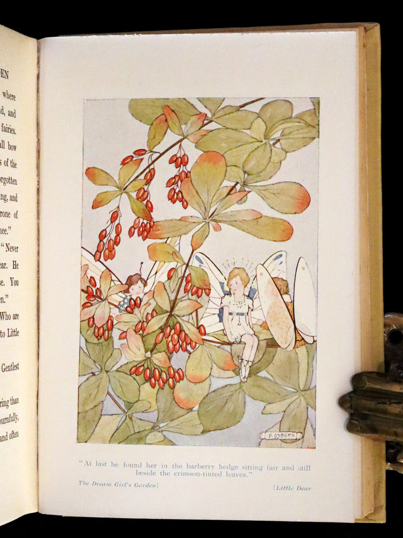 1923 Rare  First Edition - The Dream Girl's Garden by Edith Howes illustrated by D. Osborn.