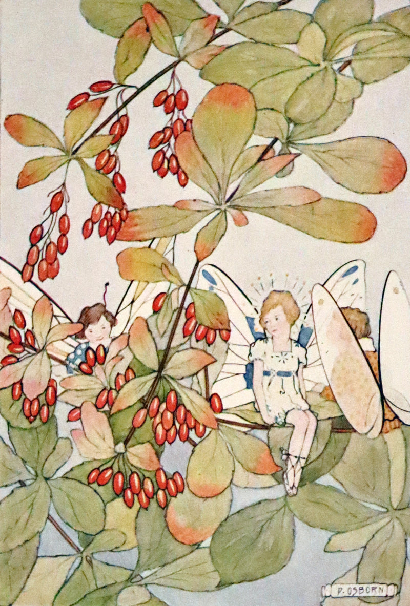 1923 Rare  First Edition - The Dream Girl's Garden by Edith Howes illustrated by D. Osborn.