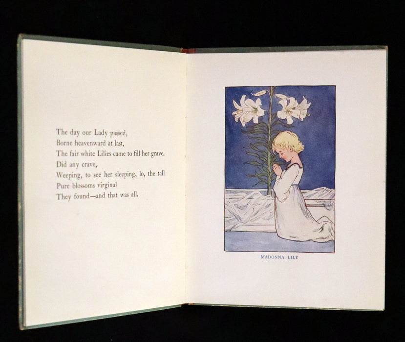 1927 Rare First Edition - Summer-Flowers, A Flower Book illustrated by Eleanor S. March.