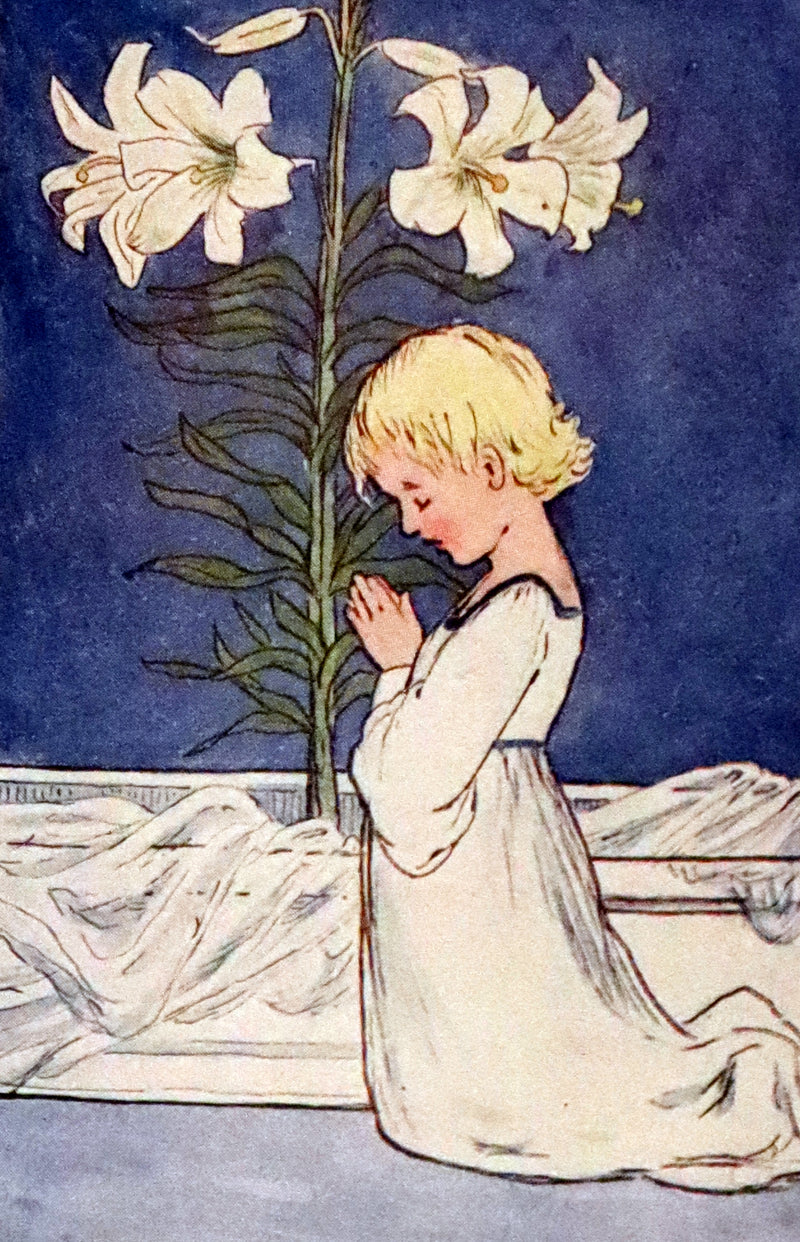 1927 Rare First Edition - Summer-Flowers, A Flower Book illustrated by Eleanor S. March.