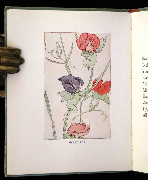 1927 Rare First Edition - Summer-Flowers, A Flower Book illustrated by Eleanor S. March.