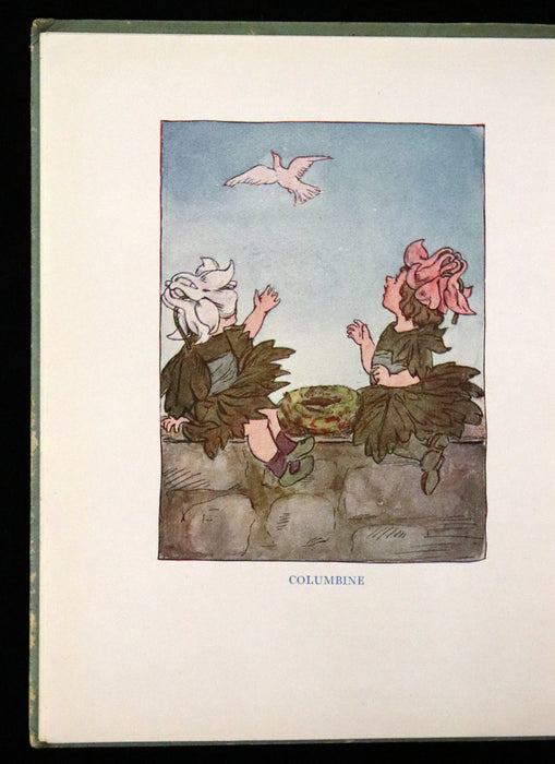 1927 Rare First Edition - Summer-Flowers, A Flower Book illustrated by Eleanor S. March.