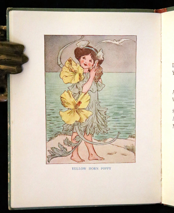 1927 Rare First Edition - Summer-Flowers, A Flower Book illustrated by Eleanor S. March.