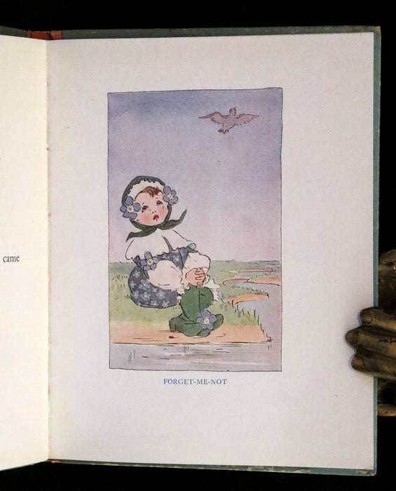 1927 Rare First Edition - Summer-Flowers, A Flower Book illustrated by Eleanor S. March.