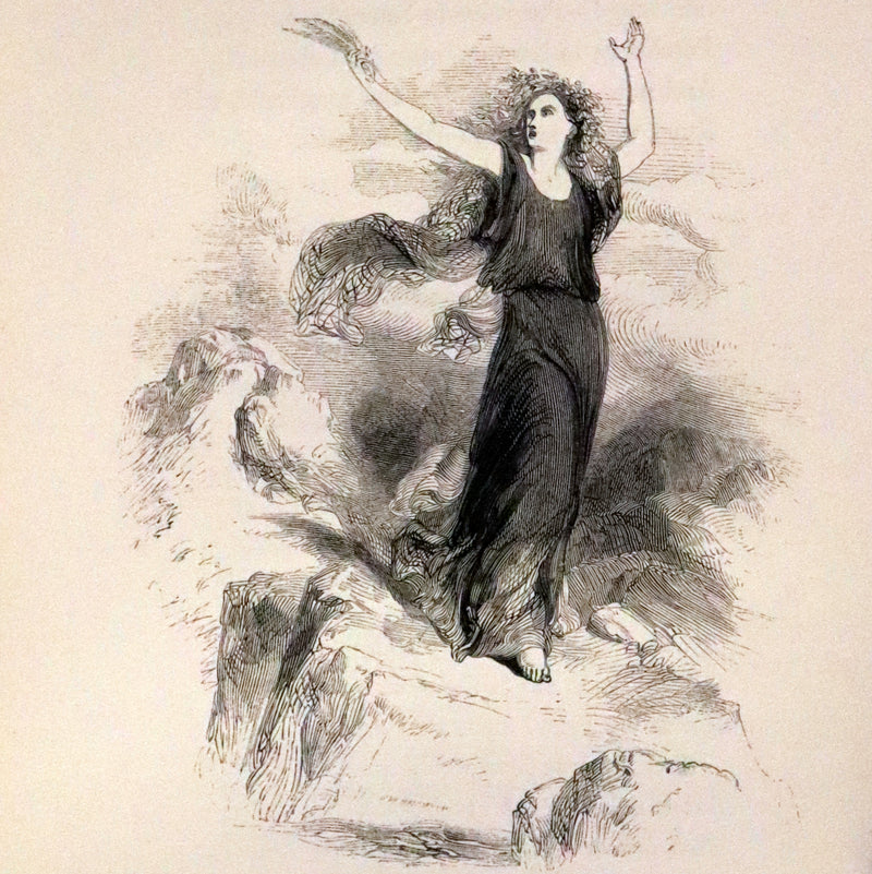 1853 Rare Book - Lady of the Lake by Sir Walter Scott, Illustrated by Birket Foster and John Gilbert.