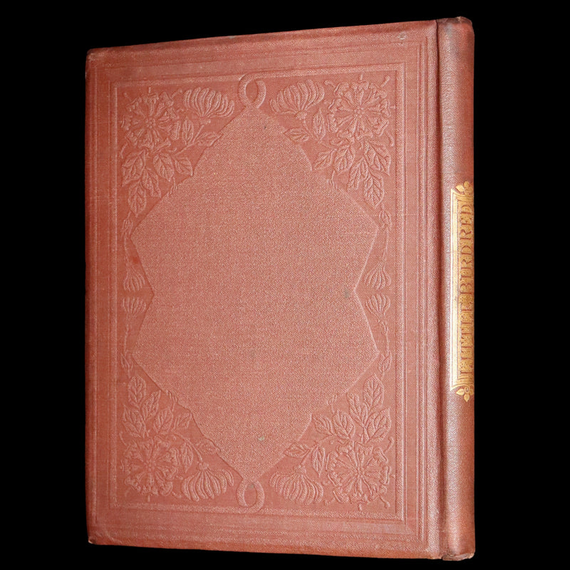 1861 Scarce Book - Little Bird Red and Little Bird Blue: A Tale of the Woods.