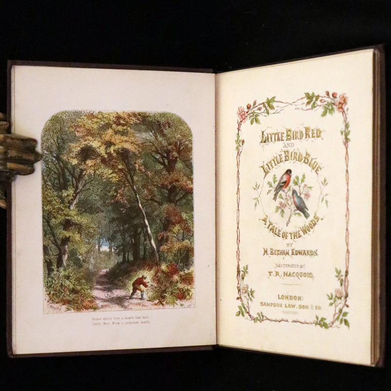 1861 Scarce Book - Little Bird Red and Little Bird Blue: A Tale of the Woods.