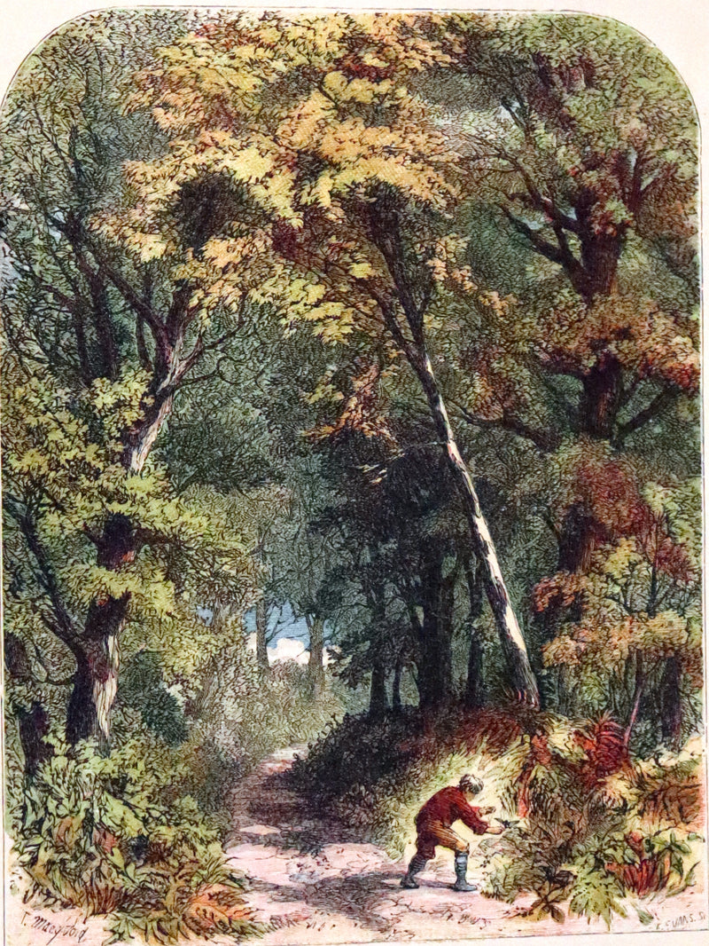 1861 Scarce Book - Little Bird Red and Little Bird Blue: A Tale of the Woods.