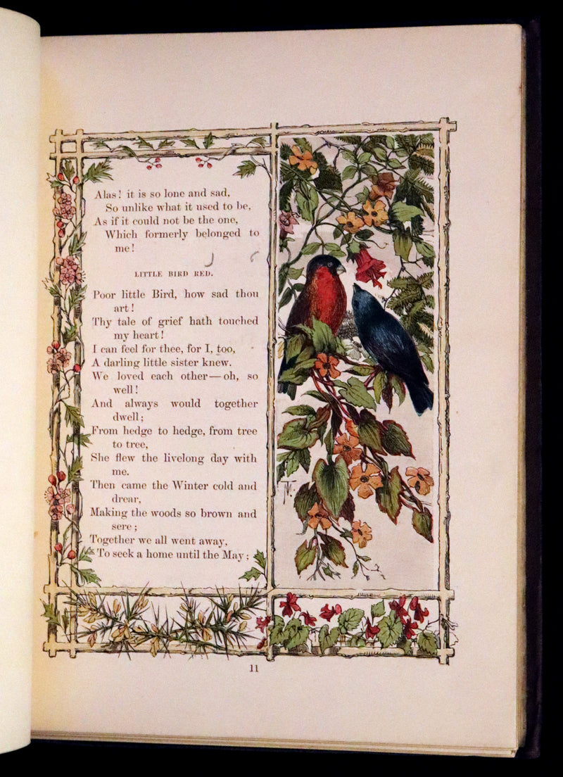 1861 Scarce Book - Little Bird Red and Little Bird Blue: A Tale of the Woods.